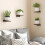 Houten wandvitrineset (4 stuks) 3
