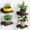 Houten wandvitrineset (4 stuks) 5