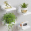 Houten wandvitrineset (4 stuks) 6
