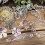 Art Collage Journaling Material Series - 30 Sheets, 6 5