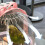 Mini Birdcage Portable Outdoor Handheld Cage for Small 7