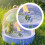 Mini Birdcage Portable Outdoor Handheld Cage for Small 8