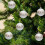 Christmas Balls Shatterproof Silver 2.4 Inch 6-Pack 6