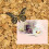 24 Pcs Office Desk Accessories Multi-function Thumb Tacks Shaped Butterfly 8