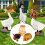 Σετ εποχιακών εορταστικών ρούχων Porch Goose, Αγίου Βαλεντίνου, Πάσχα, Άγιος 5