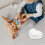 Draagbare Mini Hoed Eva Stof Voor DIY 3