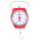 Handheld Weighing Scale Hook Set for Fishing and Kitchen 5