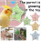 Parrot Spinner Toy for Mental and Beak Exercise 5
