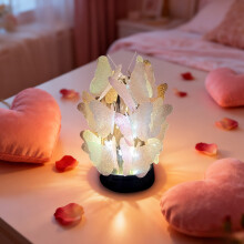 Valentínske nočné svetlo s motýľmi a LED ružou