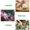 20Pièces Accessoires Floraux Verts Pour Arrangements Fleuris Durables 11