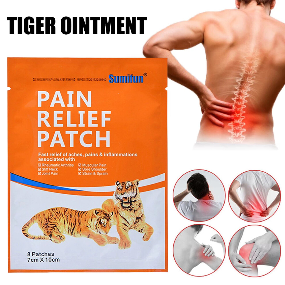 Dachuang Beauty 8Pcs Herbal Pain Relief Patches