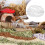 Hamster Bathtub and Sand Bath Box Transparent Habitat with 2