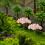32Pièces Mini Arbres Roses Simulation Décor Paysage Maquette Durable 4