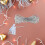 Transparent Extension Cord for String Lights 15 ft PVC 4