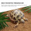 Reptile Coton De Naturel Doux Pour Abri Nettoyage 7