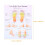 Foot Reflexology Chart Poster Wall Art Office Decor 4