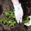 45 Eco Seedling Pots w/30 Labels 1