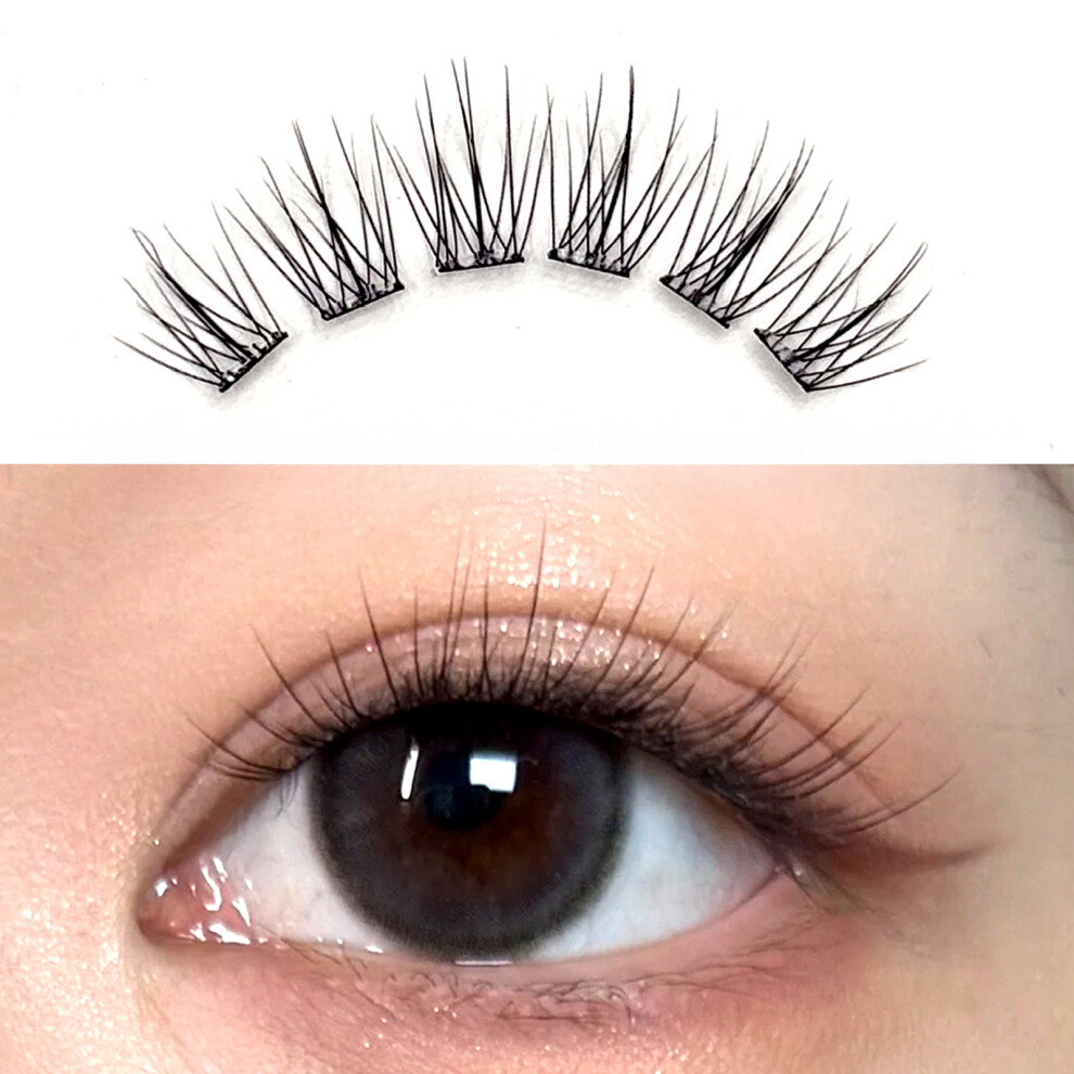 Dachuang Beauty Reusable False Eyelashes - Natural Style