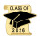 2026 Examenskapsnål – Legering, 25 mm 1
