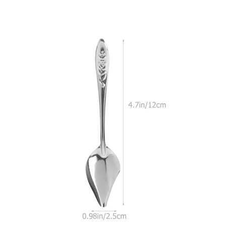 6Pcs Professional Parrot Spoons Multi-function Feeding Spoons Convenient Bird Spoons 1