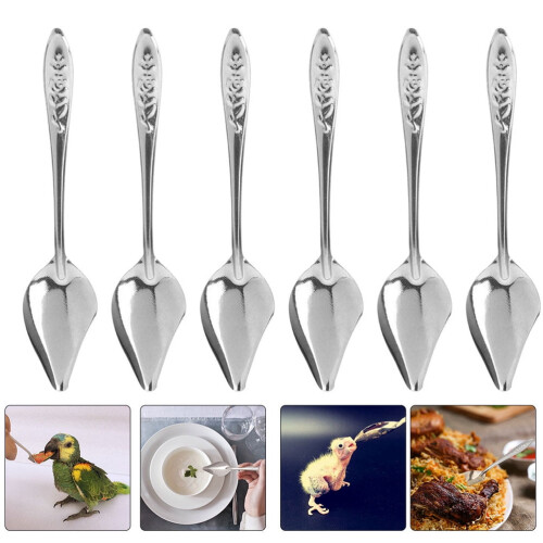 6Pcs Professional Parrot Spoons Multi-function Feeding Spoons Convenient Bird Spoons 2