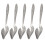 6Pcs Professional Parrot Spoons Multi-function Feeding Spoons Convenient Bird Spoons 4