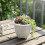 (01) White Crackle Ceramic Succulent Planter 3