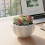 (03) White Crackle Ceramic Succulent Planter 2