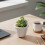 (01) White Crackle Ceramic Succulent Planter 5