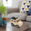 Puzzle Science Experiment Handicraft Technology Car Educational Equipment Material Package 5