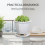 (01) White Crackle Ceramic Succulent Planter 9