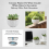 (03) White Crackle Ceramic Succulent Planter 8