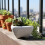 (02) White Crackle Glaze Ceramic Planter for Succulents 5
