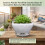 (02) White Crackle Glaze Ceramic Planter for Succulents 6