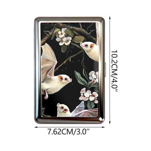 Θήκη για κάρτες και μετρητά σε vintage στυλ, μεταλλική θήκη τσιγάρων 2026 με κούμπωμα, 1