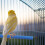 Parrot Perch Stand Grey Bamboo Durable Safe for Pet Use 2Pcs 8