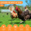 Chicken Treat Dispenser Interactive Slow Feeder Toy 2 Pack 2
