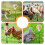 Chicken Treat Dispenser Interactive Slow Feeder Toy 2 Pack 7