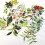 Herbal Plants Scrapbook Stickers 60pcs 2