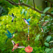 Hummingbird Feeder Animal-Shaped Leak-Proof 1 Pack