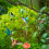Hummingbird Feeder Animal-Shaped Leak-Proof 1 Pack 1
