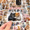 Funny Cat Stickers Pack 50 Pieces 2
