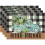 Plaid Eucalyptus Placemats Linen 4 pcs 12x18 inch 1