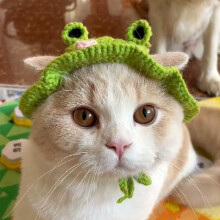 Knitted Animal Hat for Pets - Cute Soft Headwear for Cats, Large Guinea Pigs & Small Dogs & Rabbits, Adjustable Winter & Party Accessory