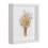 (10 inches (20.3*25.4cm)) Floating Dried Flower Frame - Multi-Size Display 3