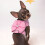 3Ensembles Poitrine Rose Fiable Respirant 5