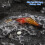 High Simulation Soft Shrimp Bait with Hook 3