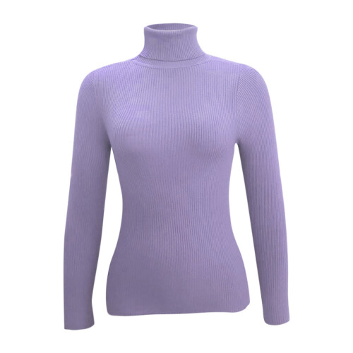 Damen-Rollkragenpullover Herbst 2025: Figurbetonter Langarm-Pullover, geripptes Strick-Basic-Top 2