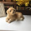 Παιχνίδι προσομοίωσης Golden Retriever - Ρεαλιστική φιγούρα σκύλου για παιδιά και 2