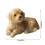 Παιχνίδι προσομοίωσης Golden Retriever - Ρεαλιστική φιγούρα σκύλου για παιδιά και 3